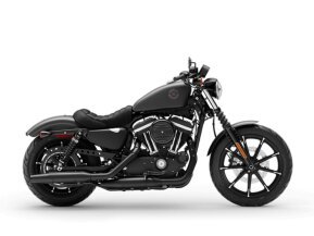 2021 Harley-Davidson Sportster Iron 883 for sale 201382508