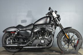 2021 Harley-Davidson Sportster Iron 883 for sale 201423503