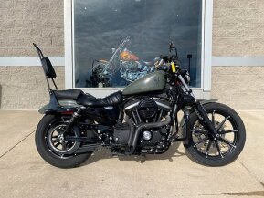 2021 Harley-Davidson Sportster Iron 883 for sale 201426198