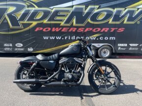 2021 Harley-Davidson Sportster Iron 883 for sale 201456220