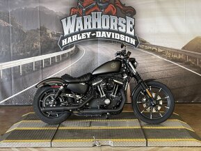 2021 Harley-Davidson Sportster Iron 883 for sale 201537490