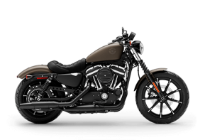 2021 Harley-Davidson Sportster Iron 883 for sale 201548274