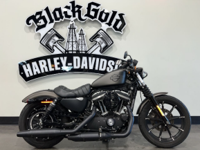 2021 Harley-Davidson Sportster Iron 883 for sale 201600553