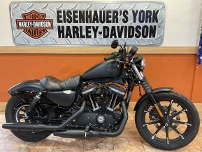 2021 Harley-Davidson Sportster Iron 883 for sale 201601582