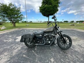 2021 Harley-Davidson Sportster Iron 883 for sale 201604235