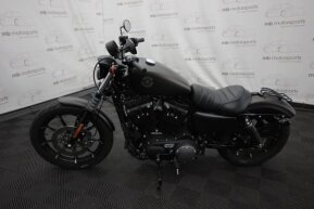2021 Harley-Davidson Sportster for sale 201614784