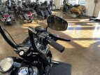 Thumbnail Photo 2 for 2021 Harley-Davidson Touring Road King Special