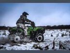 Thumbnail Photo 2 for New 2021 Honda FourTrax Foreman Rubicon 4x4 Automatic DCT