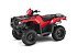 New 2021 Honda FourTrax Foreman Rubicon 4X4 Automatic DCT EPS