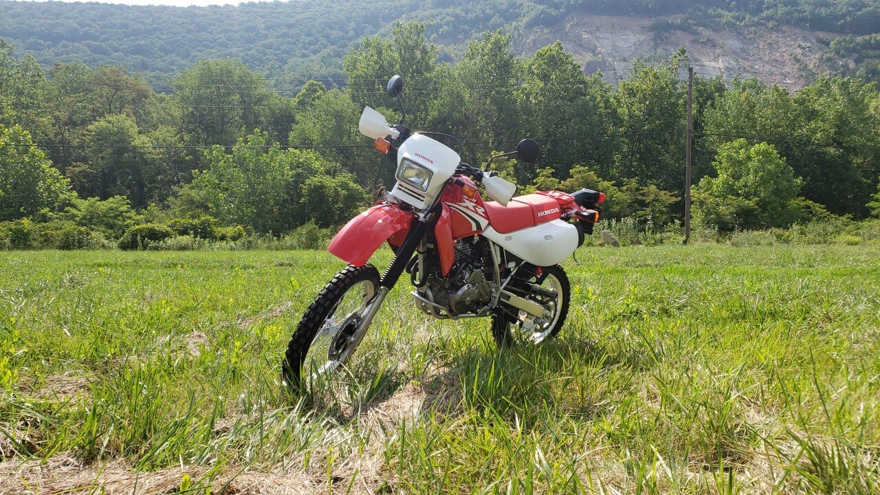 honda xr650l for sale near me