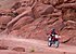 2021 Honda XR650L for sale 201112676