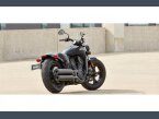 Thumbnail Photo undefined for New 2021 Indian Scout