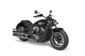 2021 Indian Scout for sale 201185921