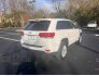 2021 Jeep Grand Cherokee for sale 101817557