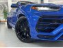 2021 Lamborghini Urus for sale 101755429