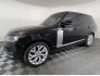 2021 Land Rover Range Rover for sale 101843351