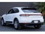 2021 Porsche Macan for sale 101746281