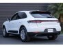 2021 Porsche Macan for sale 101746289