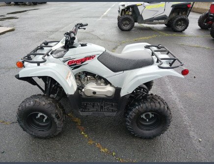 Photo 1 for 2021 Yamaha Grizzly 90