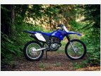 Thumbnail Photo 15 for New 2021 Yamaha TT-R230