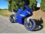 2021 Yamaha YZF-R3 for sale 201356767