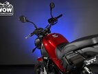 Thumbnail Photo 7 for New 2022 Benelli Leoncino