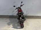 Thumbnail Photo 12 for New 2022 Benelli Leoncino
