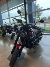 2022 Benelli Leoncino for sale 201583844