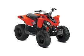 2022 Can-Am DS 250 70 specifications