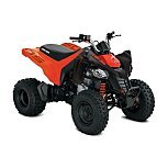 2022 Can-Am DS 250 for sale 201294940