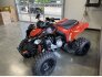 2022 Can-Am DS 250 for sale 201294035