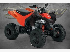 2022 Can-Am DS 250 for sale 201373156