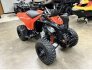 2022 Can-Am DS 250 for sale 201378141