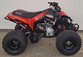 2022 Can-Am DS 250 for sale 201378730