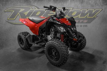 New 2022 Can-Am DS 250