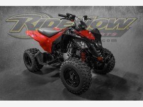 2022 Can-Am DS 250 for sale 201386457