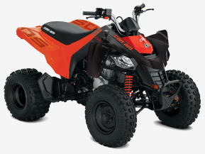 2022 Can-Am DS 250 for sale 201390508