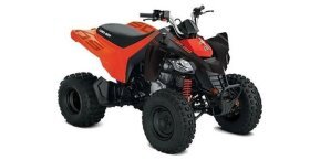 2022 Can-Am DS 250 for sale 201424758