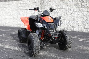 2022 Can-Am DS 250 for sale 201595534