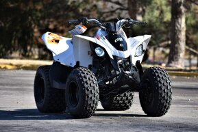 2022 Can-Am DS 90 for sale 201378357