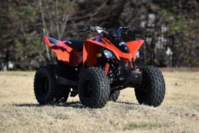2022 Can-Am DS 90 for sale 201378359