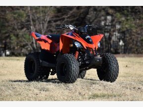 2022 Can-Am DS 90 for sale 201378364