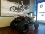 Thumbnail Photo undefined for New 2022 Can-Am Renegade 110
