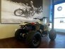 2022 Can-Am Renegade 110 for sale 201394416