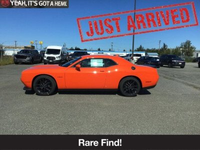 New 2022 Dodge Challenger R/T for sale 101756891