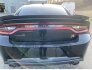 2022 Dodge Charger Scat Pack for sale 101833076