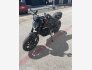 2022 Ducati Monster 937 for sale 201341552