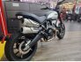 2022 Ducati Scrambler for sale 201366376