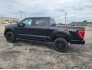 2022 Ford F150 for sale 101736419
