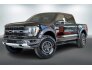 2022 Ford F150 for sale 101772344